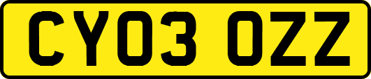 CY03OZZ