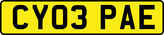 CY03PAE