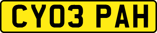 CY03PAH