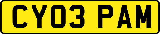 CY03PAM