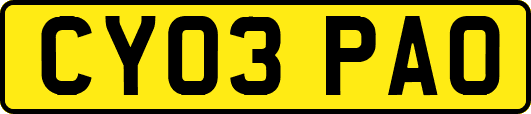 CY03PAO