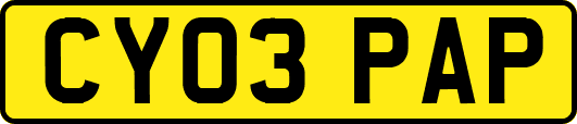 CY03PAP