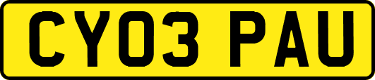 CY03PAU