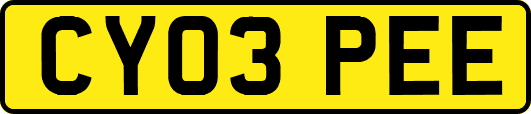 CY03PEE