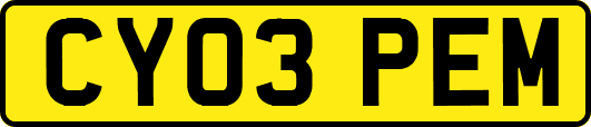 CY03PEM