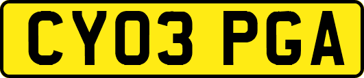 CY03PGA