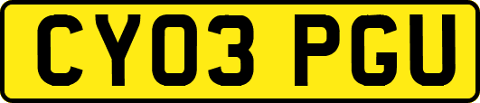 CY03PGU