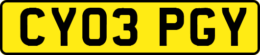 CY03PGY