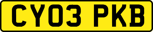 CY03PKB