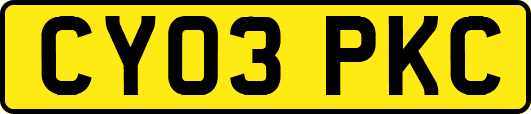CY03PKC