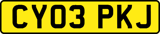 CY03PKJ