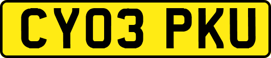 CY03PKU