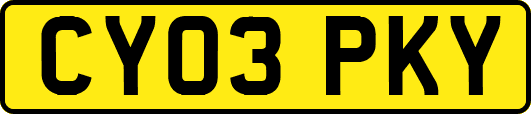 CY03PKY