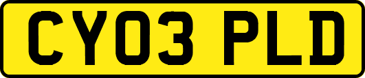 CY03PLD