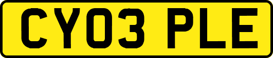 CY03PLE