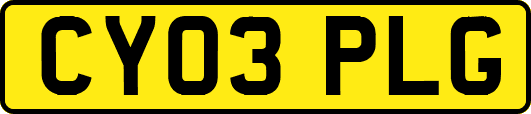 CY03PLG