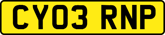 CY03RNP