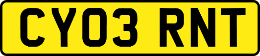 CY03RNT