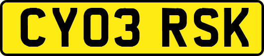 CY03RSK