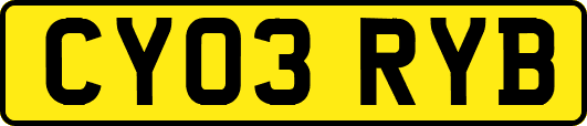 CY03RYB
