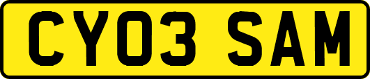 CY03SAM
