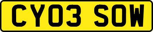 CY03SOW