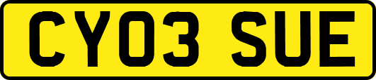 CY03SUE