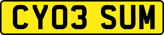 CY03SUM