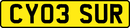CY03SUR