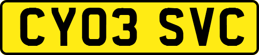 CY03SVC