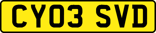 CY03SVD