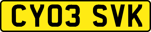 CY03SVK