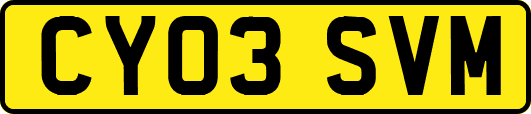 CY03SVM