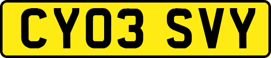 CY03SVY