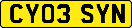 CY03SYN