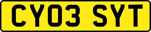 CY03SYT