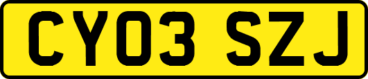 CY03SZJ