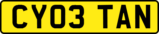 CY03TAN