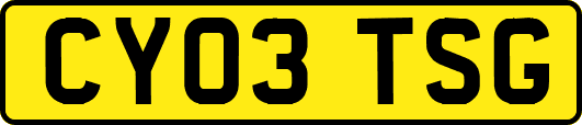 CY03TSG