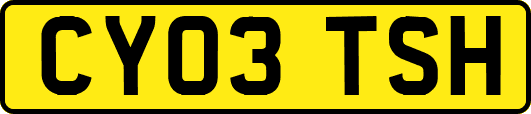 CY03TSH