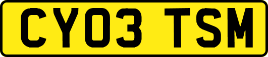 CY03TSM