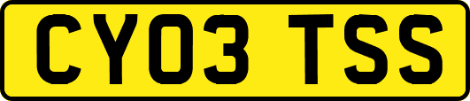 CY03TSS