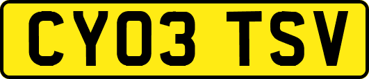 CY03TSV