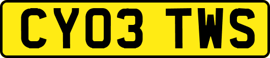CY03TWS