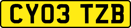 CY03TZB