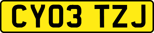 CY03TZJ