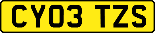 CY03TZS