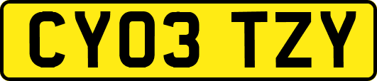 CY03TZY