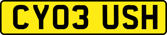 CY03USH