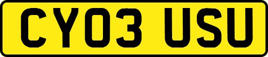 CY03USU